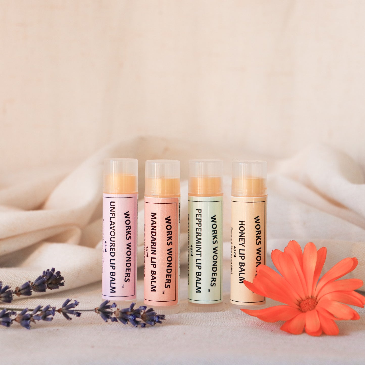 All Lip Balms
